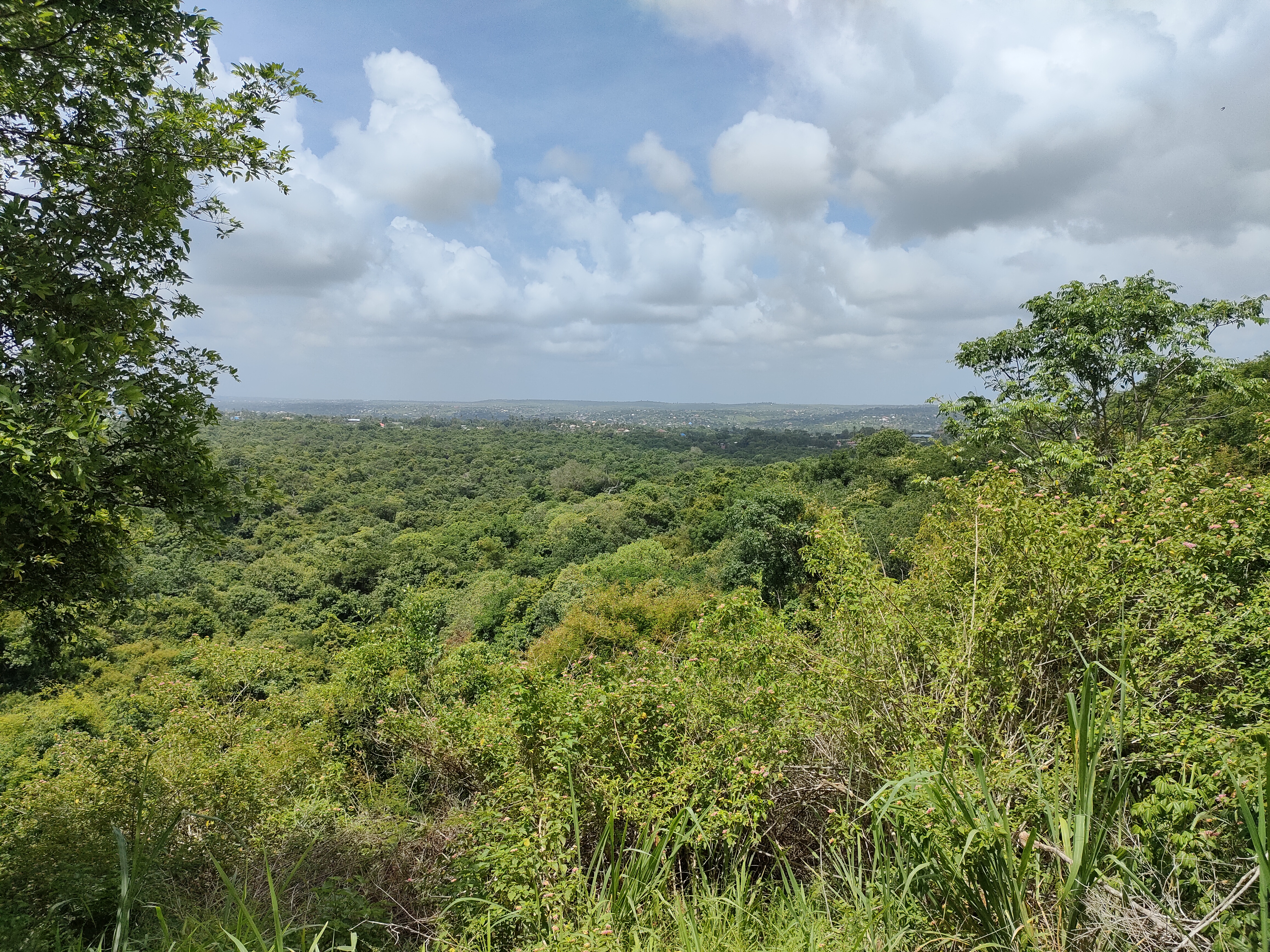 Pande View Point